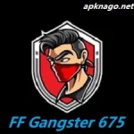 FF Gangster 675 Injector