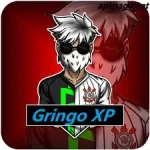 Gringo XP Injector