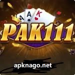 pak 111 game